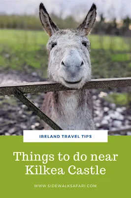 Things to do near Kilkea Castle in County Kildare Ireland