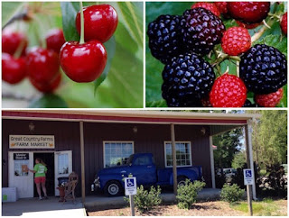 Great Country Farms, Virginia