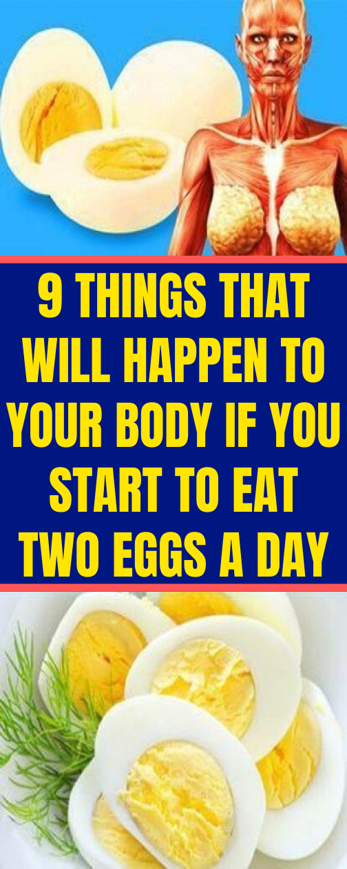 Start To Eat Two Eggs A Day And This 9 Things That Will Happen To Your