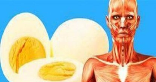 Start To Eat Two Eggs A Day And This 9 Things That Will Happen To Your