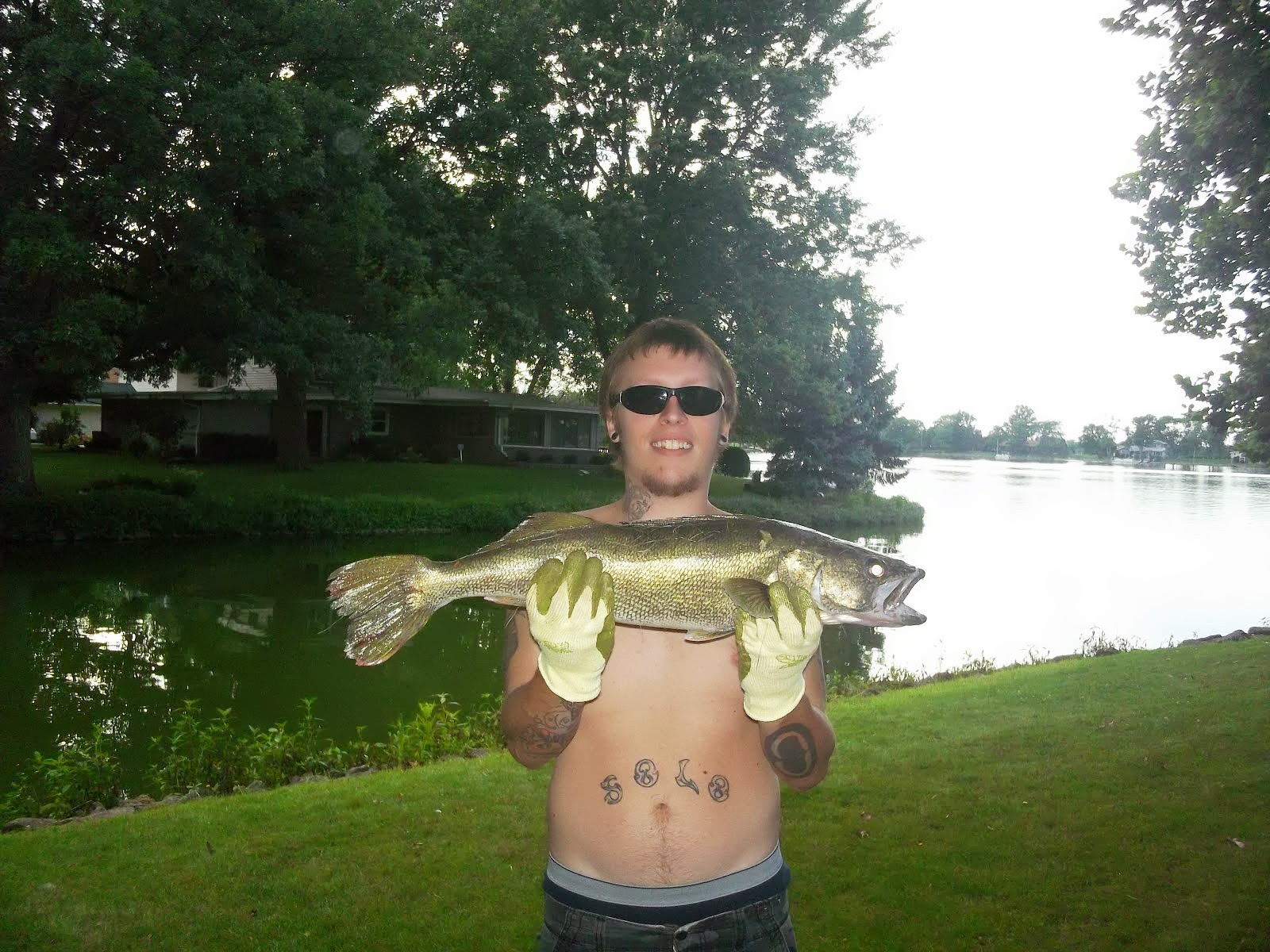 The Bayles Lake Blog July 2013, Walleye caught at Bayles Lake