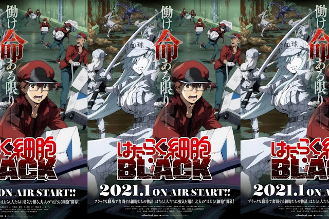 Spoiler Anime Spin-Off "Hataraku Saibo! Black" PV Terbaru!