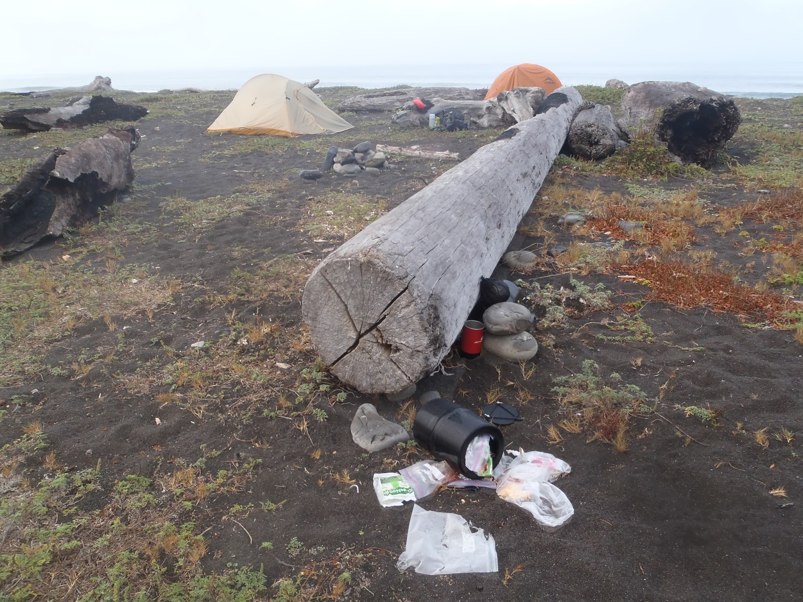 Lost Coast Trail and the King Range Wilderness Bear Canisters A
