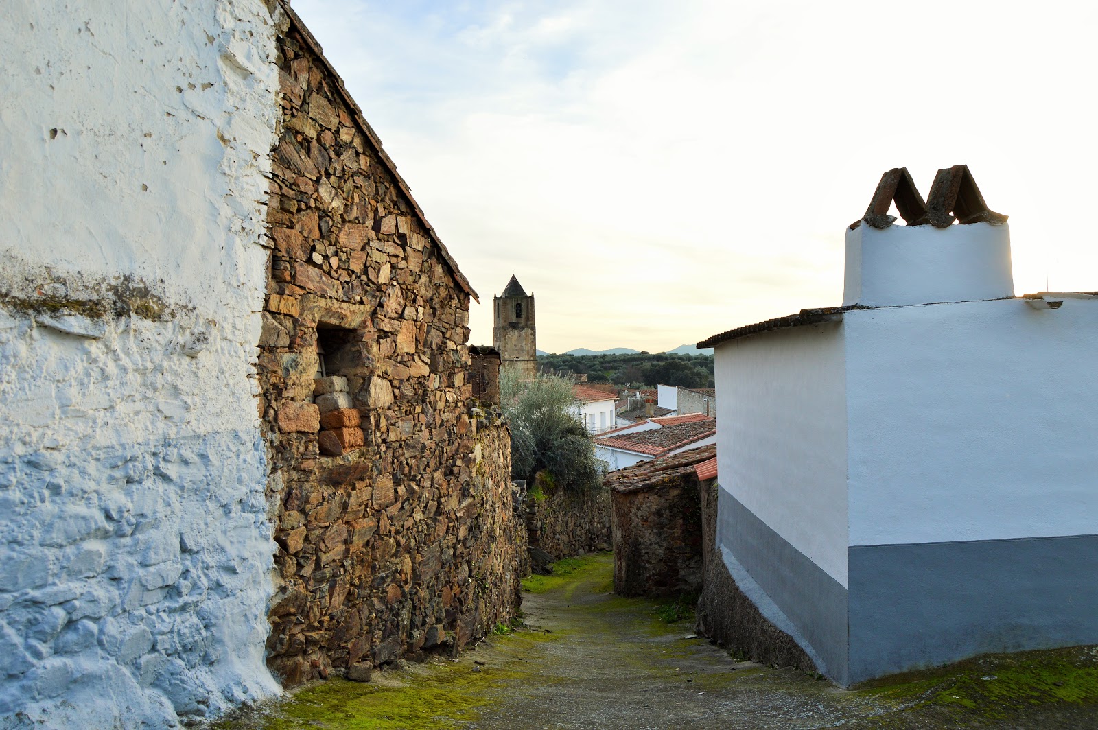 EXTREMOS DEL DUERO salvatierra de santiago. cáceres.
