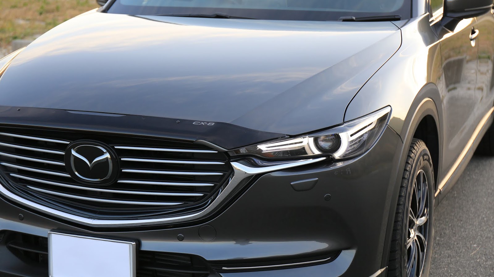cx8 ボンネットプロテクター
