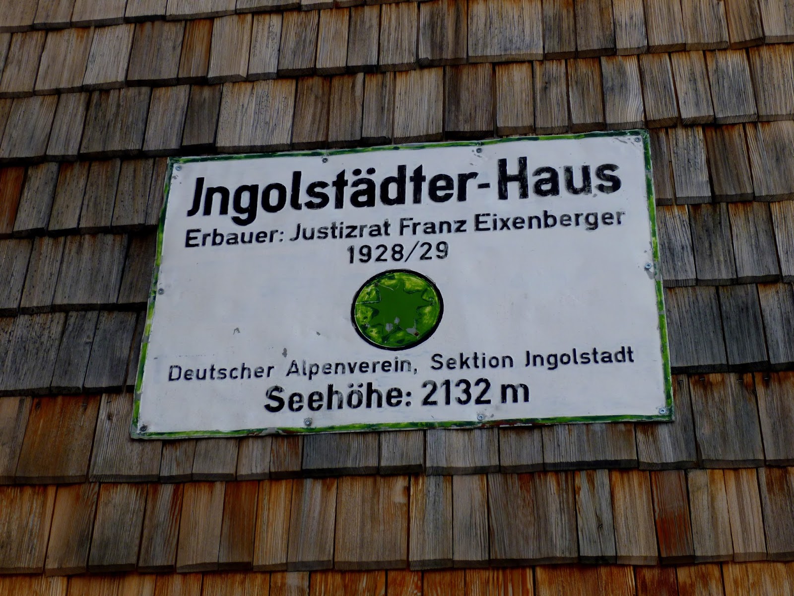 Emerging From The Undergrowth Steinerne Meer And Berchtesgaden