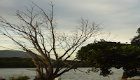 Natureza Foto Natureza