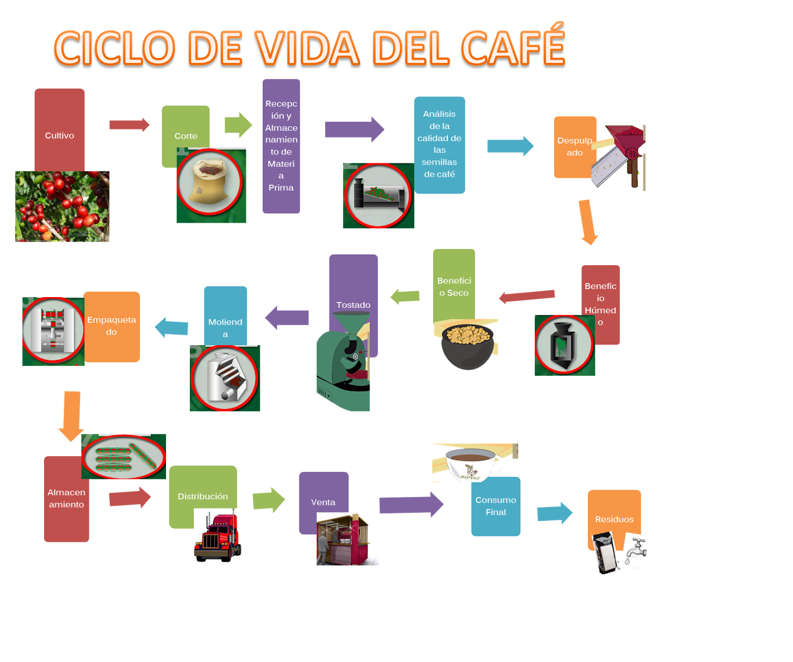 Arriba 92+ Foto Proceso Del Café Paso A Paso Con Imágenes Cena Hermosa