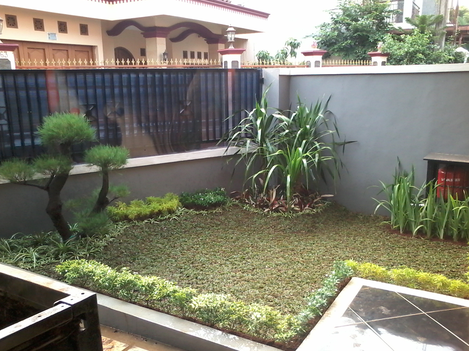 38+ Tanaman Pagar Rumah Kecil, Terkini!