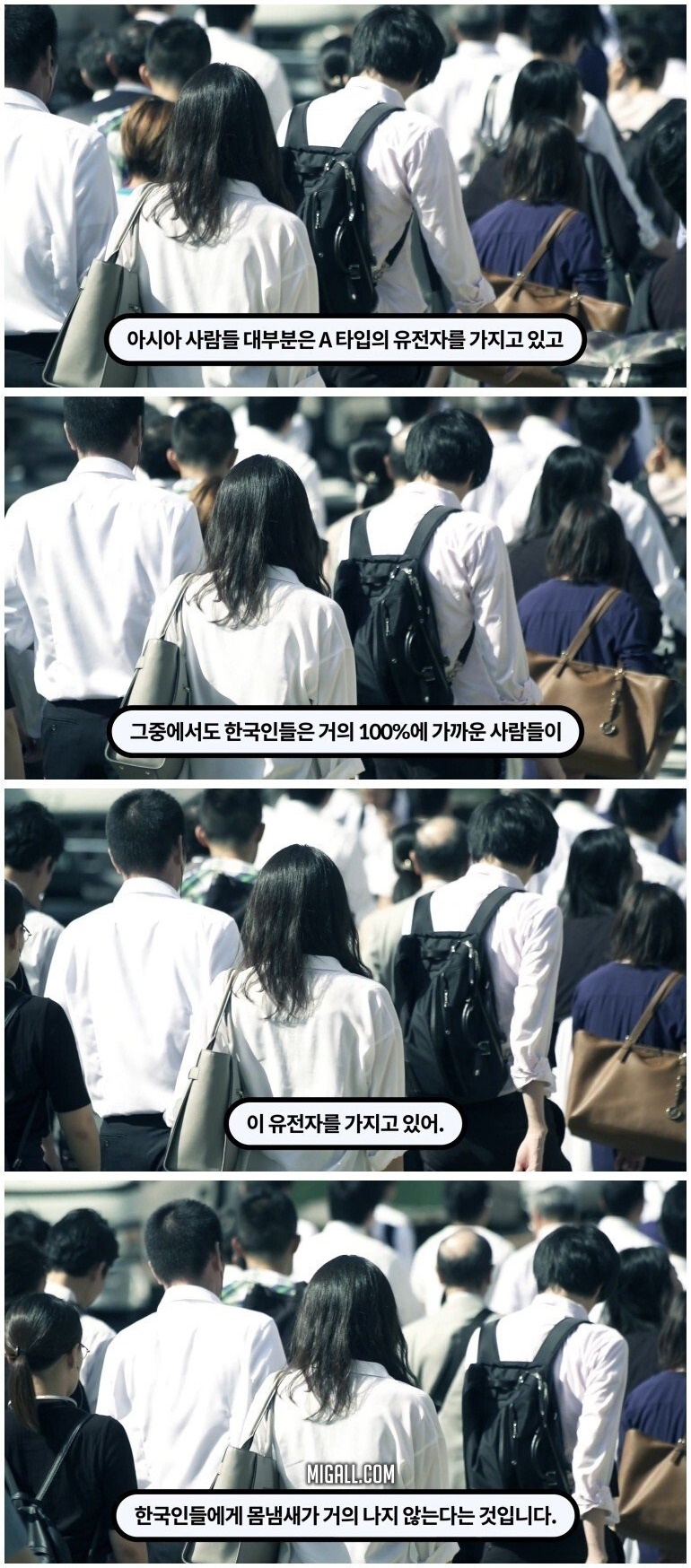 한국인들이 암내가 덜 나는 이유 - 꾸르