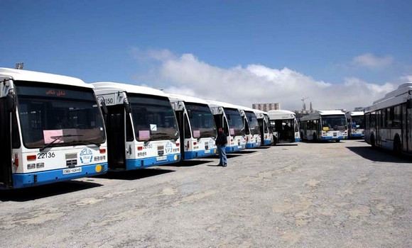 الجزائر .. إطلاق خدمة جديدة للنقل المشترك بين القطار والحافلات