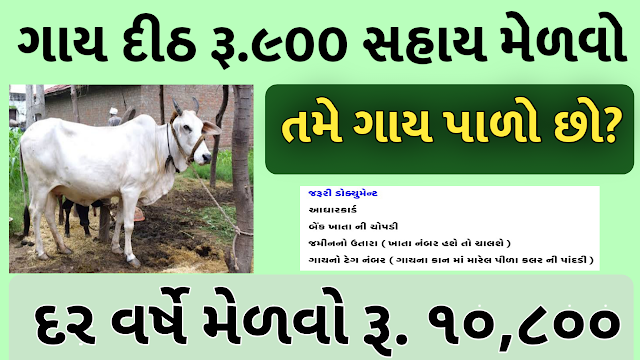 Aatmnirbhar Gujarat Sahay Package Cow Sahay Per Month Rs 900