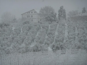 Eccezonale nevicata del 2 febbraio, 2012