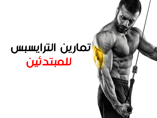 تمارين الترايسبس للمبتدئين تمارين الترايسبس للمبتدئين