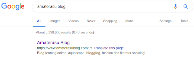 CARA MEMBUAT DESKRIPSI BLOG cara membuat deskripsi blog supaya tampil di halaman penelusuran google.