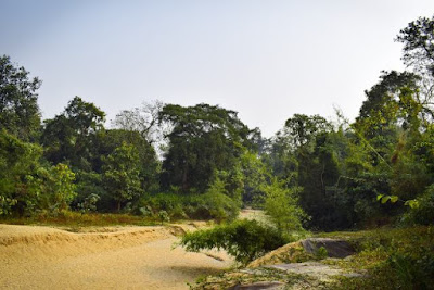 Beautiful Satchari national park tour guide 2021 5 Satchari National park habiganj sylhet