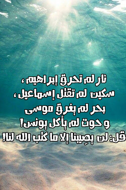صور مكتوب عليها حكم