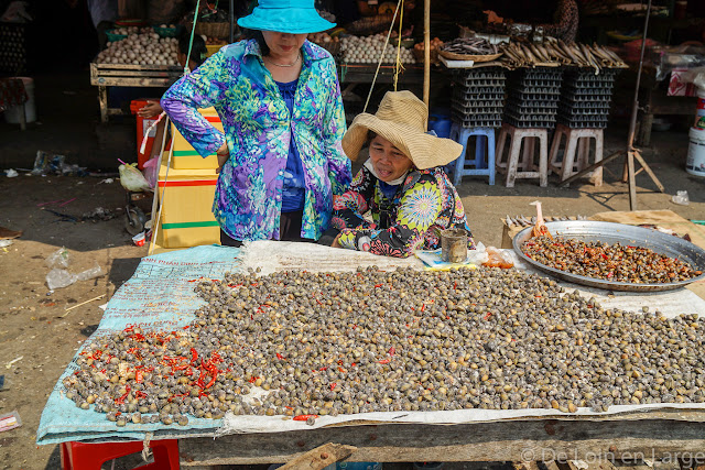 Battambang - Cambodge