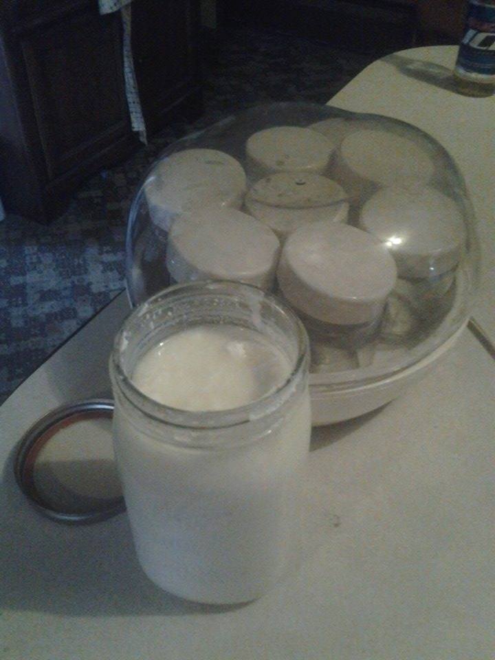 At Home with Sweet Pea Homemade Yogurt and Buttermilk