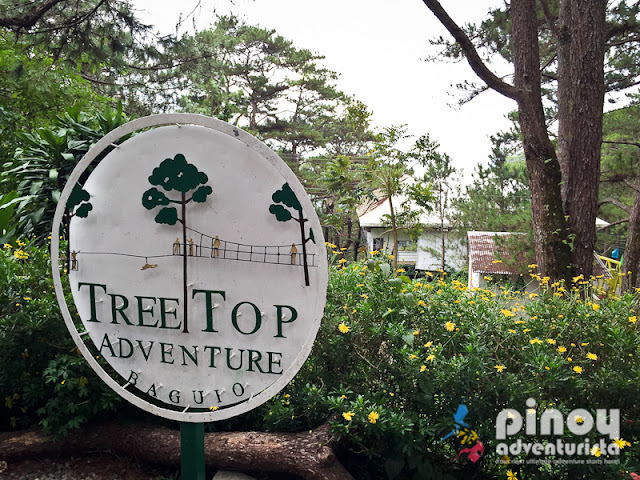 Things To Do in Baguio City Tree Top Adventure