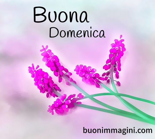 buongiorno-domenica-immagini.jpg