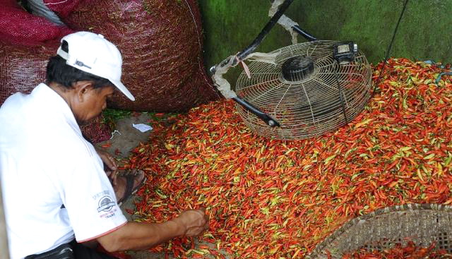 Harga Melambung, Pedagang di Daerah Ini Temukan Cabe Rawit Dicat Warna