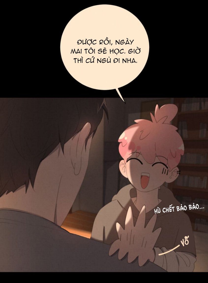 Đọc truyện Thế giới của một chú mèo - Chapter 26