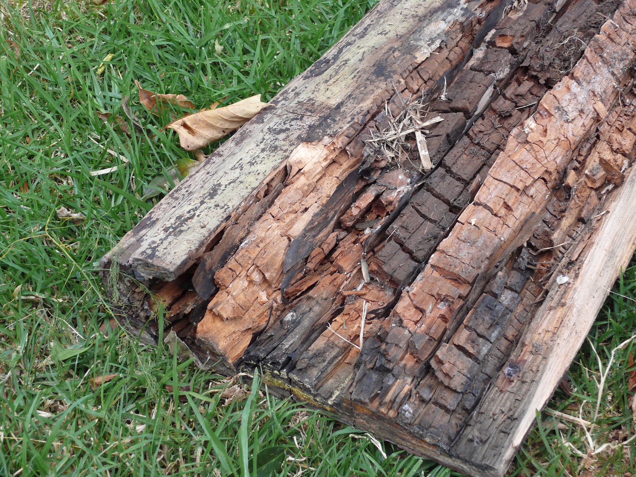 The Food Garden Group: Adding a Raised Bed