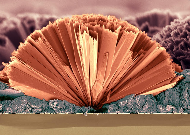 Рис. 7. Кристаллы сернистого железа, принявшие необычную форму и запечатлённые сканирующим электронным микроскопом (фото Diana Mars, San Francisco State University).