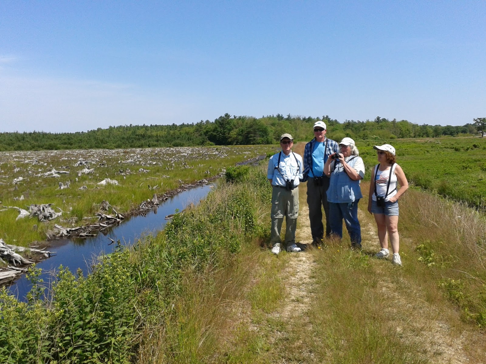 South Shore Bird Club of MA SE Bioreserve Freetown / Fall River