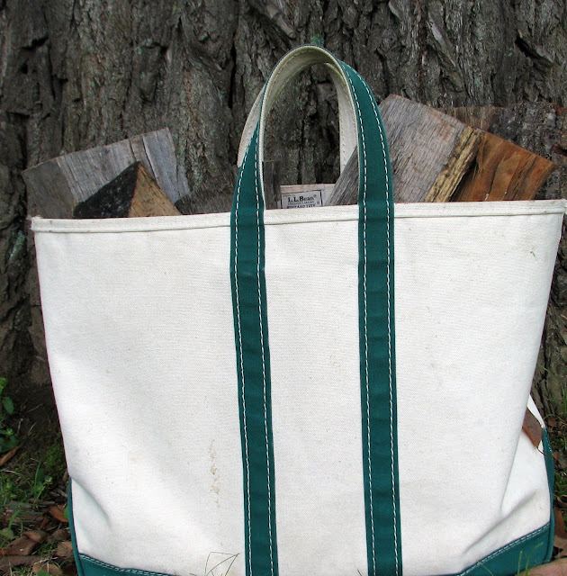 Recommendations: L.L. Bean canvas tote bag — Five in Blue