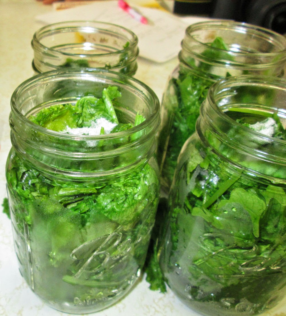to Kat's Canning Tidbits I hope you enjoy your visit! CANNING GREENS