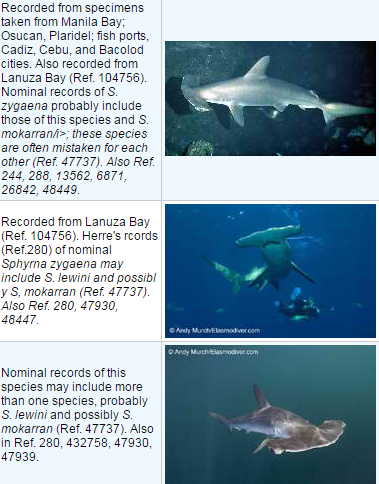 List Of Threatened Fish In The Philippines Listph Com