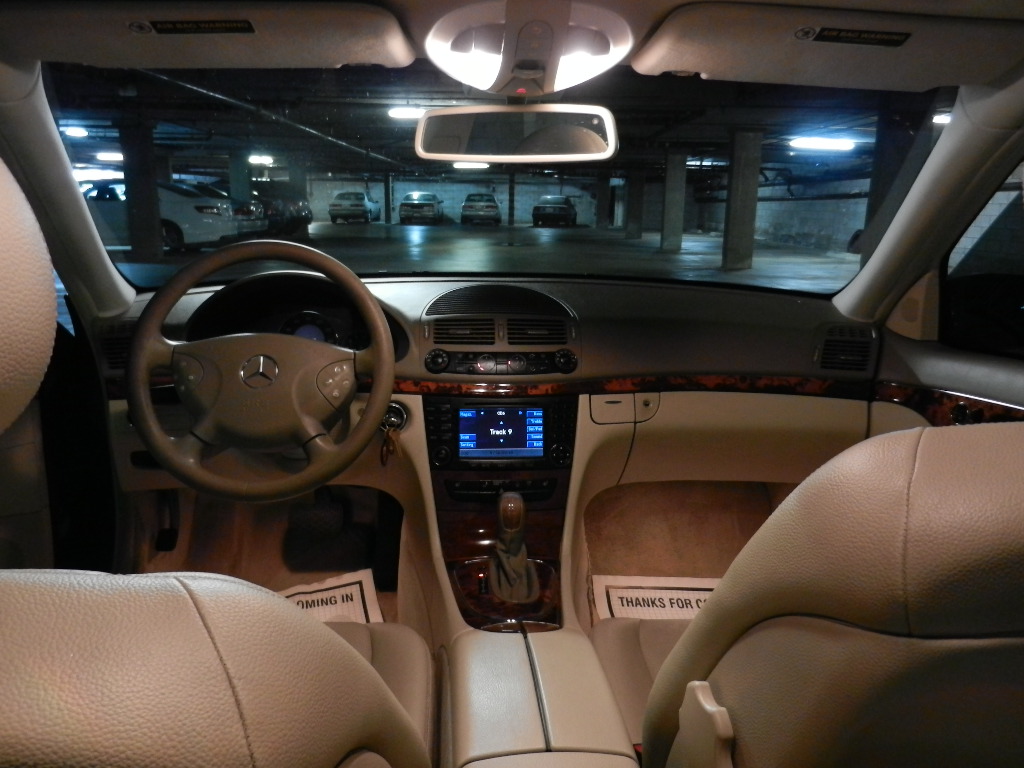 cheap finches for sale