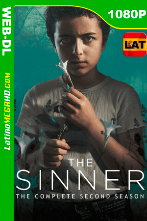 The Sinner (Miniserie de TV) Temporada 2 (2018) Latino HD WEB-DL 1080P ()