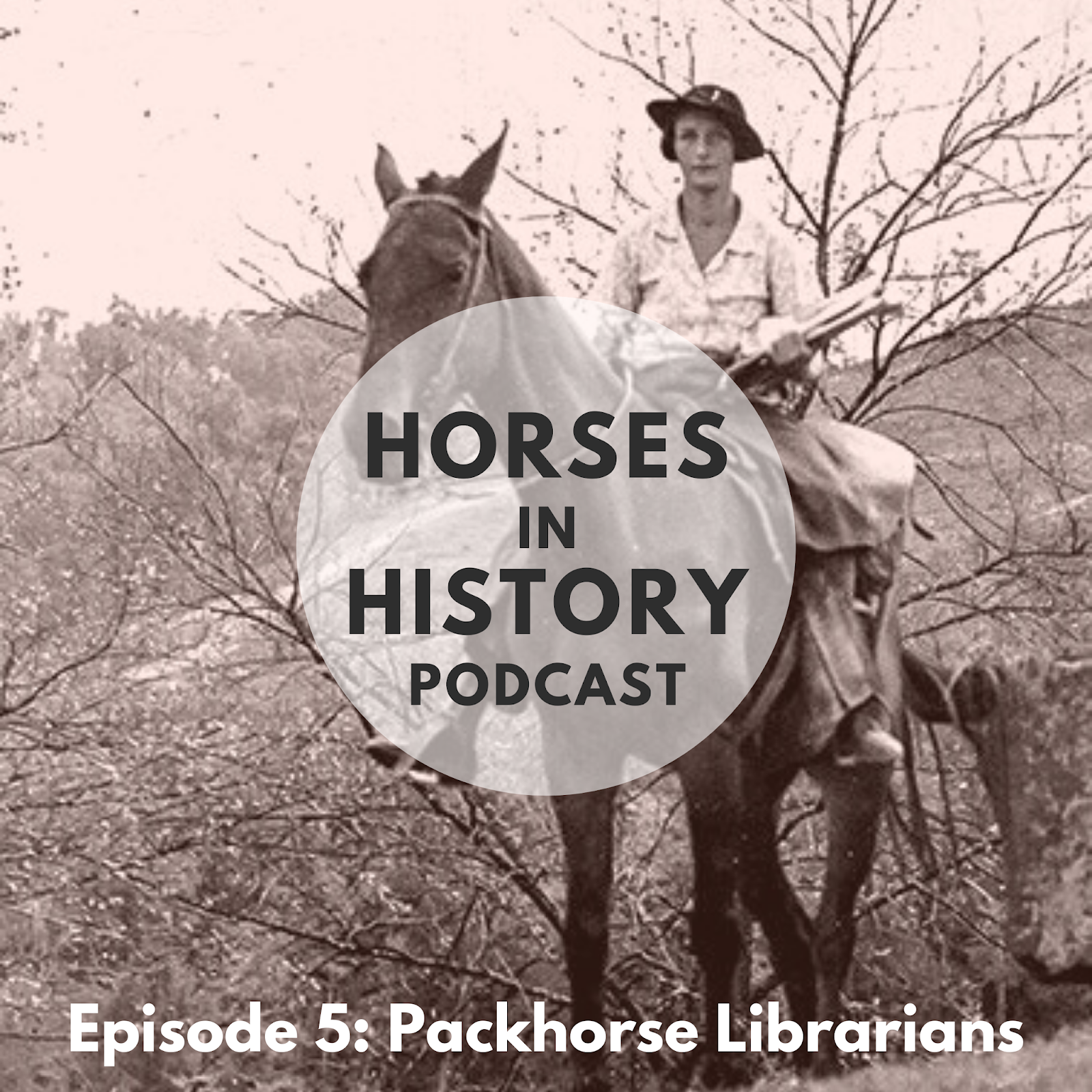 Episode 5 Packhorse Librarians Horses in History Podcast
