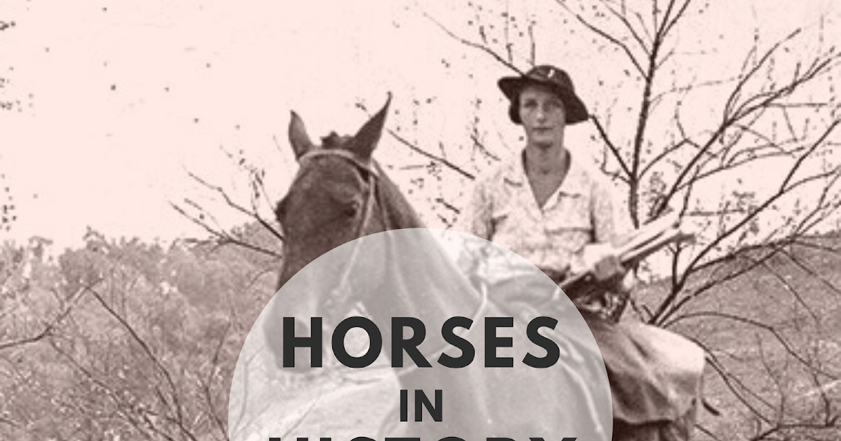 Episode 5 Packhorse Librarians Horses in History Podcast