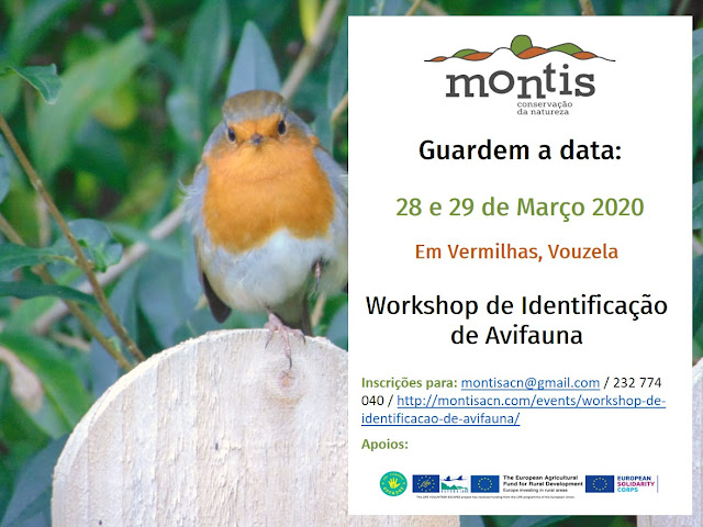 http://montisacn.com/events/workshop-de-identificacao-de-avifauna/