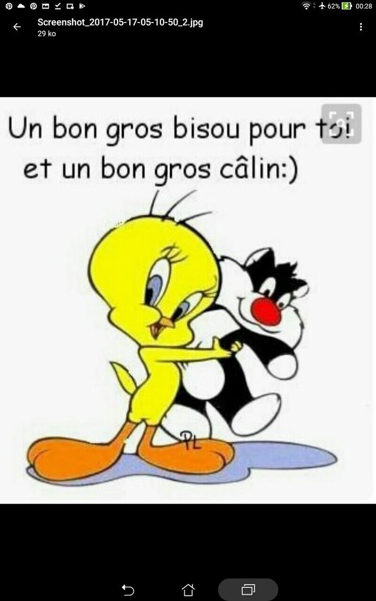Le Top De L Humour Bonne Nuit Chen Gai France :): letopdelhumour