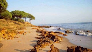 6 Wisata Pantai Terpopuler Di Tuban Manakah Yang Pernah Anda Kunjungi Jejak Ruang