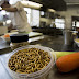 ‘High protein content’: EU regulator rules MEALWORMS are SAFE to eat