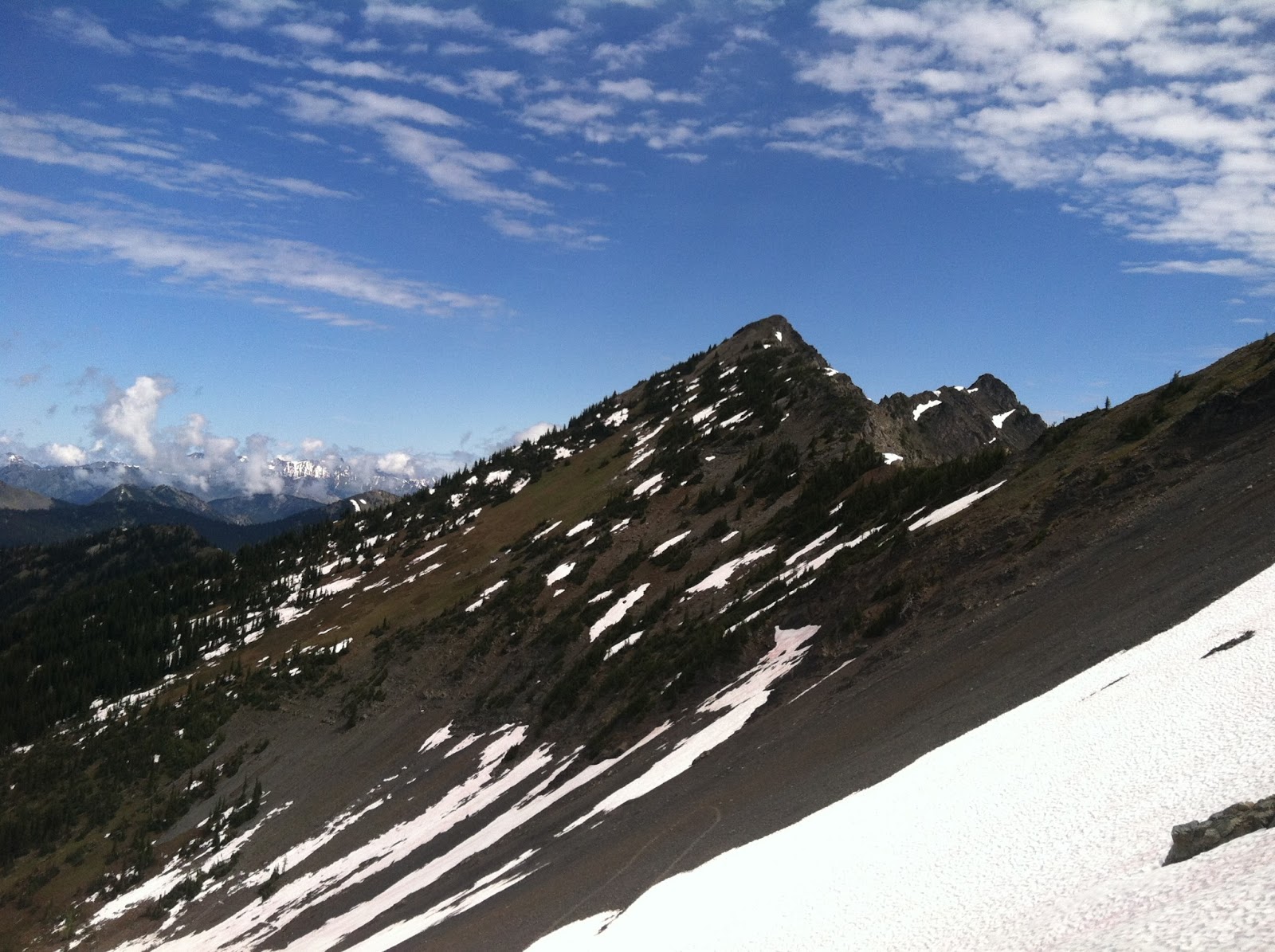 Roll with the Trails: Devil's Dome-Jackita Ridge Loop