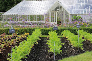 WHEN TO PLANT CARROTS In a Greenhouse