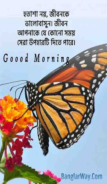 Bangla Good Morning Wishes Image,Shuvo Sokal Image