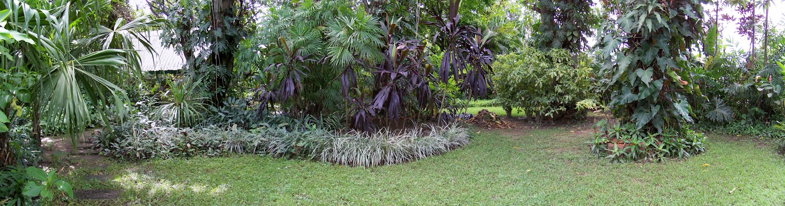 verdevenezuela: Curso de Paisajismo con Juan de Dios Holmquist