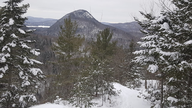 Point de vue sur le sentier du mont Nixon