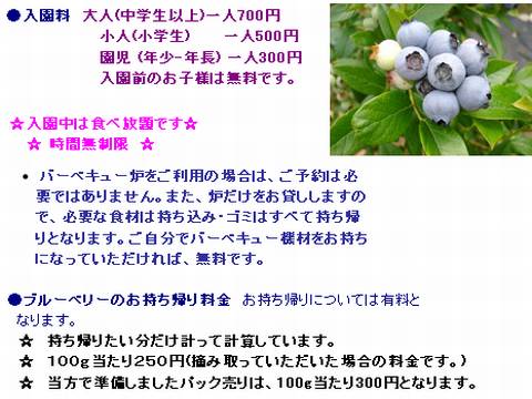 HP情報 ゴールデンベリーズ