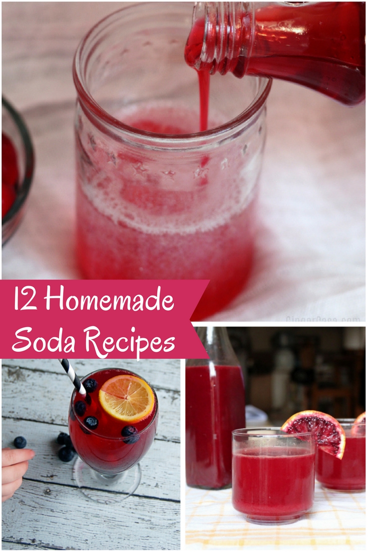 Sweet Silly Sara 12 Homemade Soda Recipes