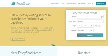 essaywritingservice