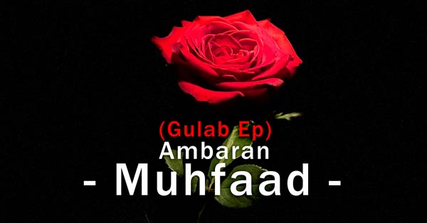 muhfaad ambaran gulab ep